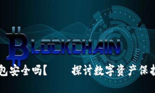中文版加密钱包安全吗？——探讨数字资产保护的现状与未来
