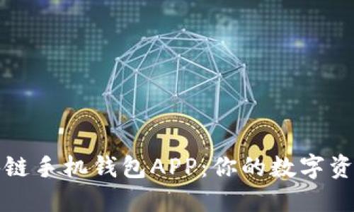 解密区块链手机钱包APP：你的数字资产保护神