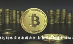 数字钱包转账图片截图大全：轻松掌握数字支付