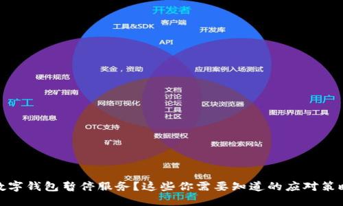 数字钱包暂停服务？这些你需要知道的应对策略
