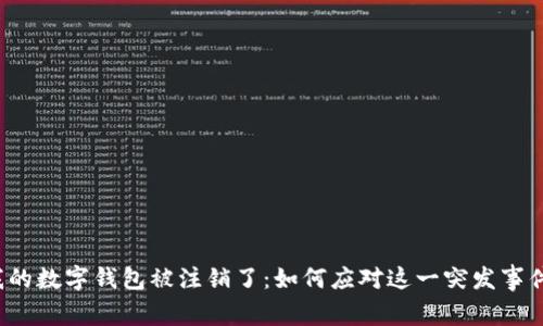 我的数字钱包被注销了：如何应对这一突发事件？