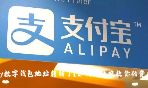 iliaoty数字钱包地址转错了？如何有效挽救你的资金损失