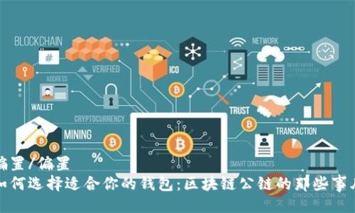 偏置/偏置  
如何选择适合你的钱包：区块链公链的那些事儿