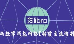 如何选择最适合你的数字钱包网络？解密主流选