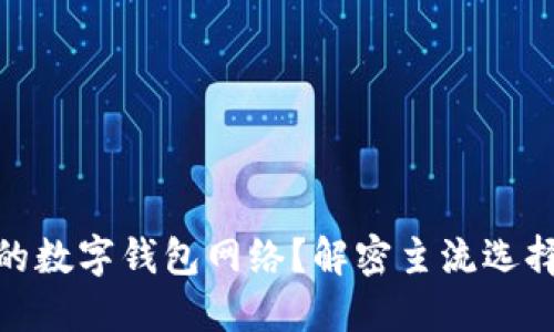 如何选择最适合你的数字钱包网络？解密主流选择与文化潮流的结合