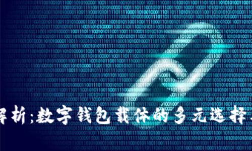 全面解析：数字钱包载体的多元选择与应用