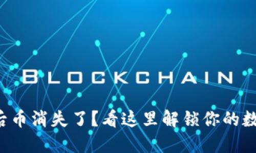 TP钱包重装后币消失了？看这里解锁你的数字资产之谜！