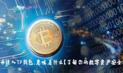 虚拟币进入TP钱包，意味着什么？了解你的数字资