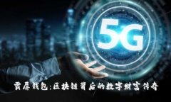 霸屏钱包：区块链背后的数字财富传奇