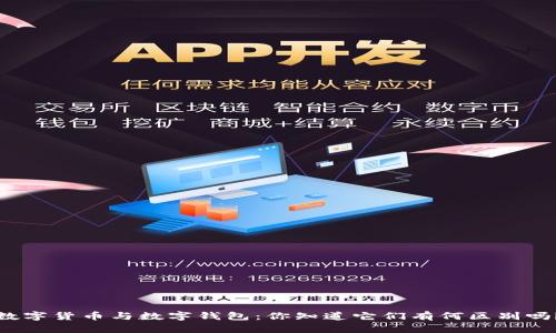 数字货币与数字钱包：你知道它们有何区别吗？