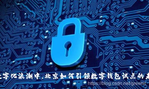 “在数字化浪潮中，北京如何引领数字钱包试点的未来？”