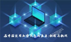 在中国使用加密钱包的未来：机遇与挑战