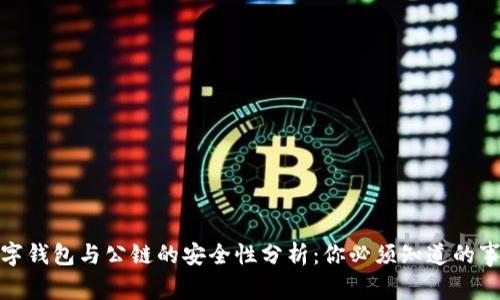 数字钱包与公链的安全性分析：你必须知道的事实