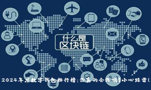 2024年度数字钱包排行榜：你真的会选吗？小心踩雷！