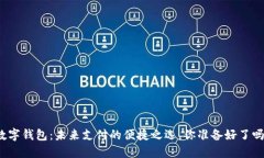 数字钱包：未来支付的便捷之选，你准备好了吗