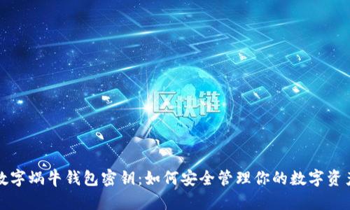 数字蜗牛钱包密钥：如何安全管理你的数字资产