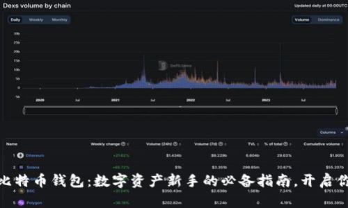 加密货币与比特币钱包：数字资产新手的必备指南，开启你的投资之旅
