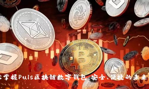 轻松掌握Puls区块链数字钱包：安全、便捷的未来金融