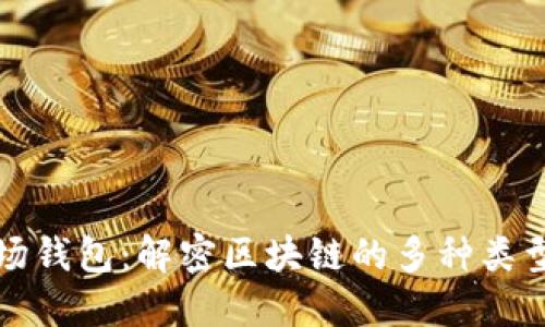 探索波场钱包：解密区块链的多种类型与应用