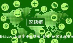 TP钱包支持Kishu：加密货币世界的“新星”如何点