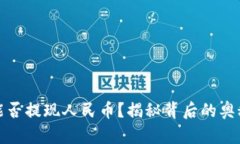 TP钱包能否提现人民币？揭秘背后的奥秘与选择